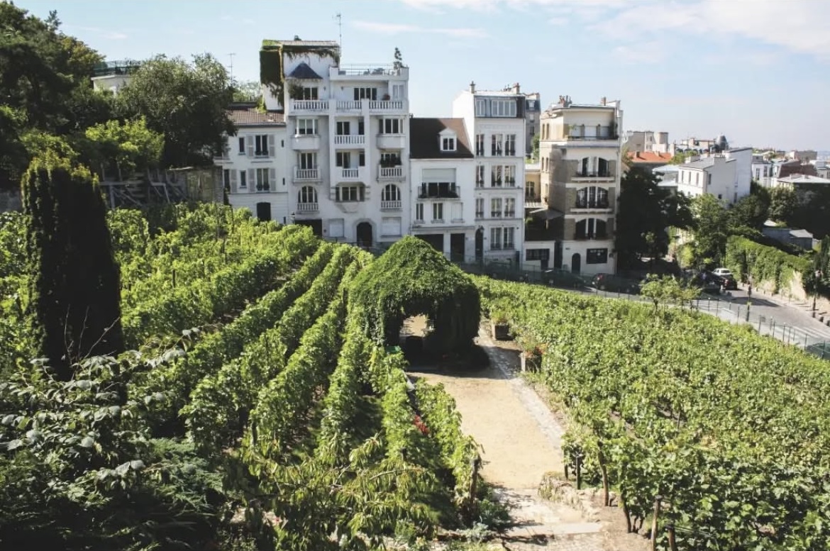 Un jour, un livre "Atlas des vins insolites" Pierrick Bourgault