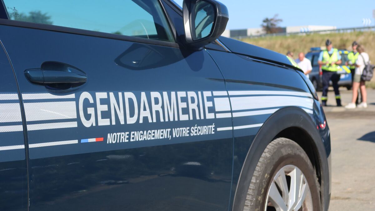 Isère : deux gendarmes blessés par des tirs de feux d’artifice près de Grenoble