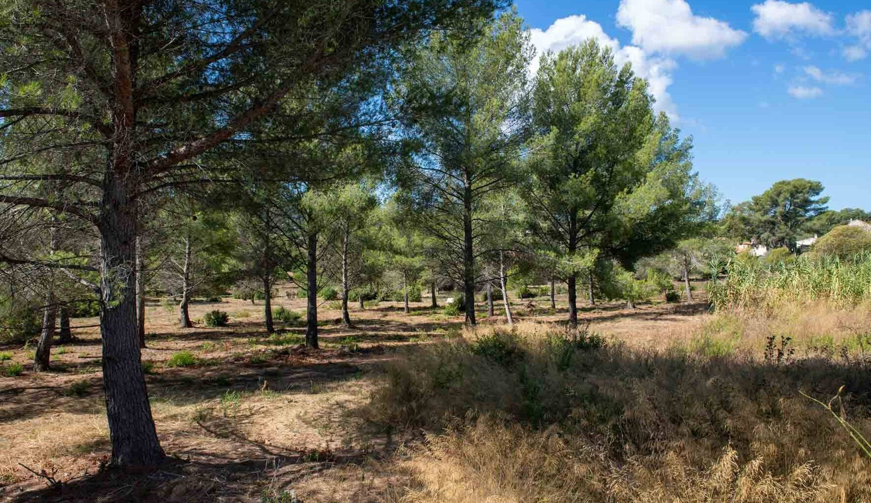 Après un désistement, la Ville relance l’appel à projet pour exploiter le terrain de Coste Chaude à La Seyne