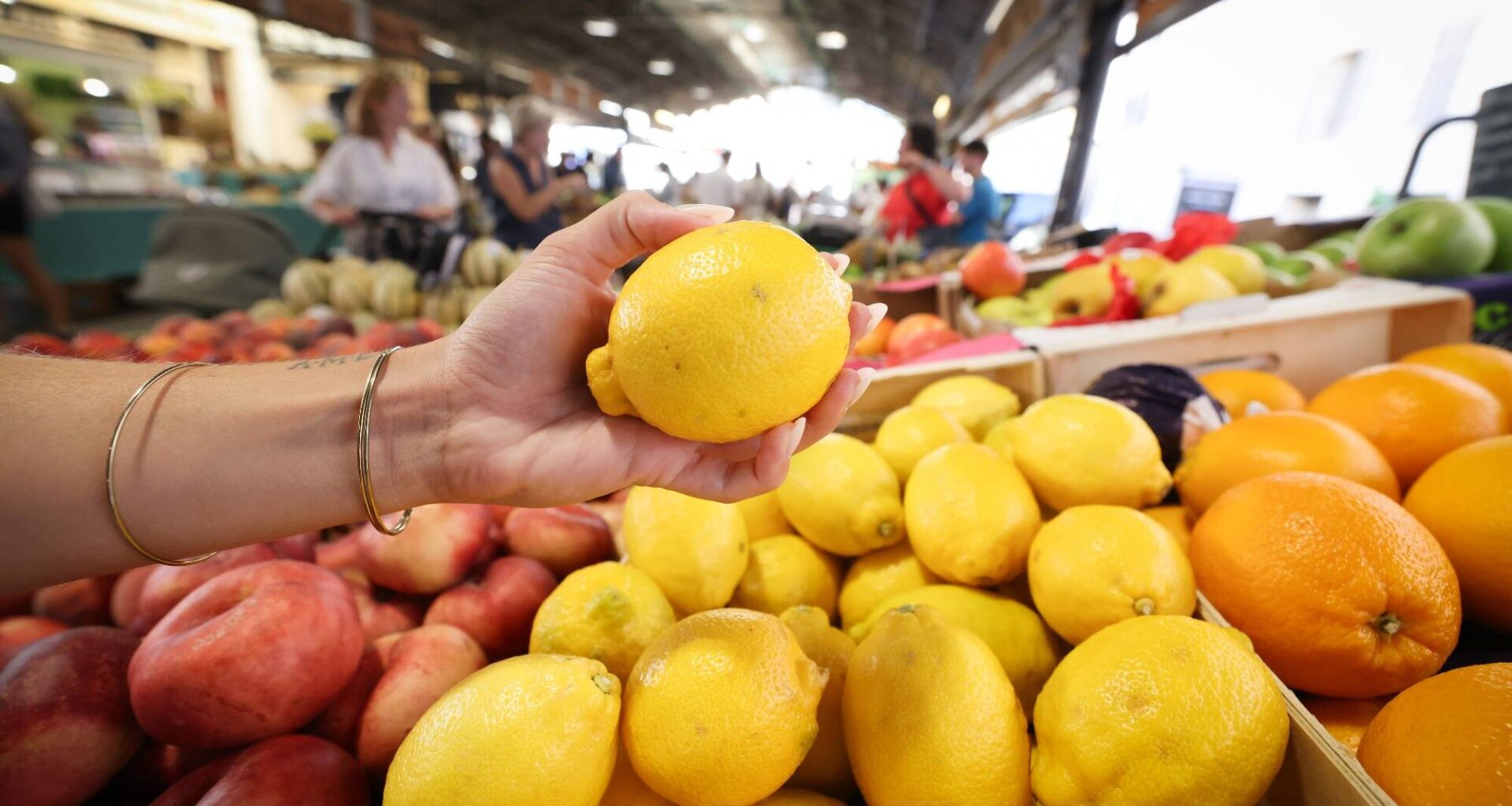 D'où viennent réellement les citrons du pays niçois? Des soupçons de fraudes planent sur la plaine du Var