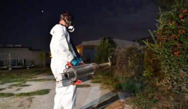 Bienvenue à « chikungunya land » : Antibes, ville la plus touchée de France, lutte à tout-va contre le moustique-tigre