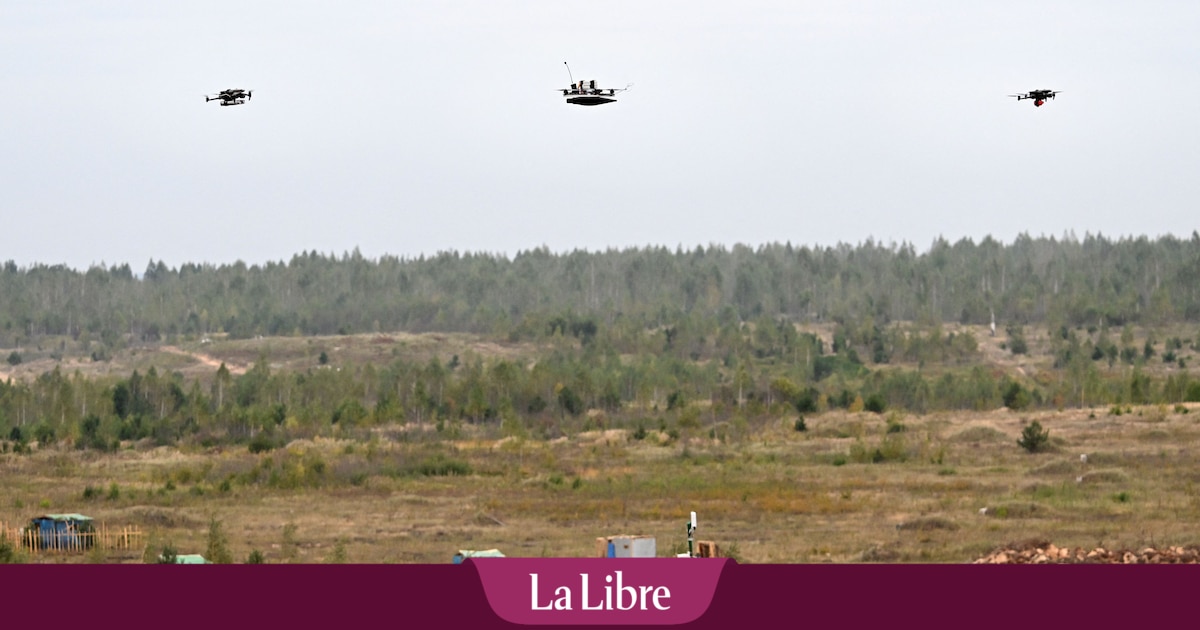 Face aux drones russes, l'Europe a besoin de l'Ukraine : "Nos outils ne sont pas performants"