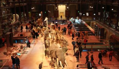 Paris : plusieurs pépites d’or dérobées au Muséum d’histoire naturelle, 600 000 euros de préjudice