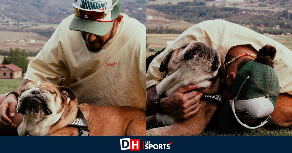 Lewis Hamilton en deuil: son bulldog Roscoe s'est éteint
