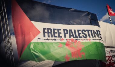 pourquoi plusieurs collectifs propalestiniens disent non à «Oui», le film de l’Israélien Nadav Lapid – Libération