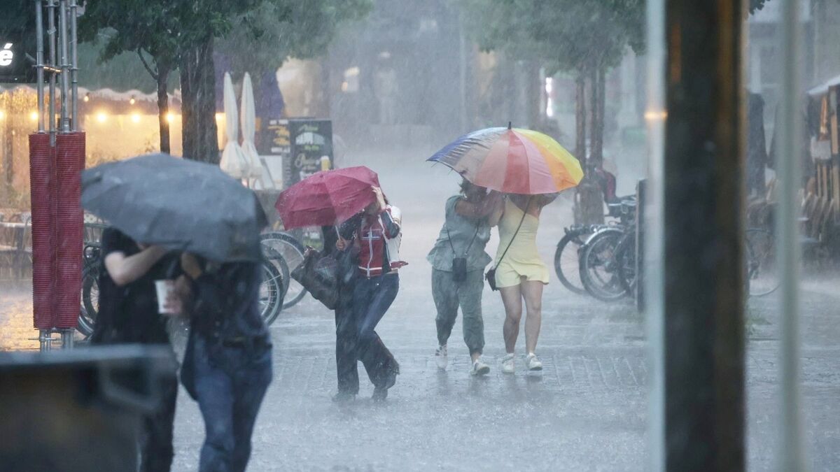 DIRECT. Orages : un mois de pluie tombé cette nuit à Orange, de la grêle et des vents forts attendus dans le Sud-Est