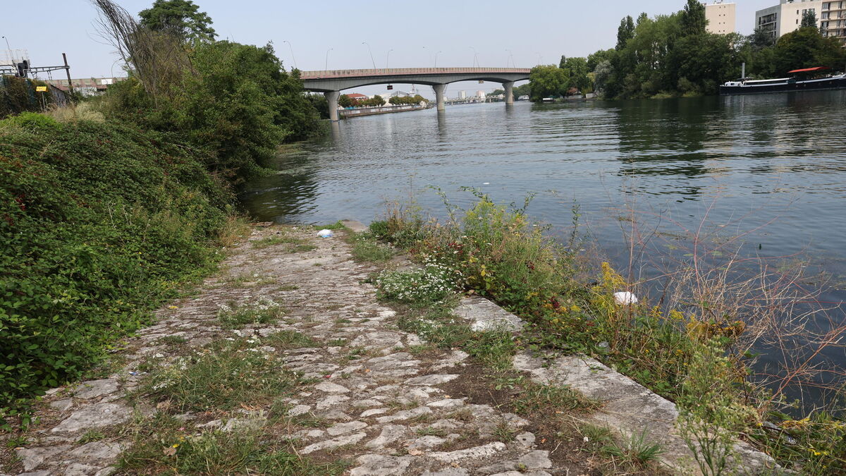 DIRECT. Cadavres repêchés dans la Seine : « Le mobile religieux exploité, le suspect semblait avoir une pratique rigoriste de l’islam »