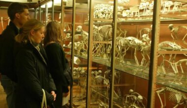 Le muséum de Nantes fêtera ses 150 ans les 20 et 21 septembre