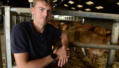 Après des années de recul, le bovin allaitant à la relance en Bretagne ?