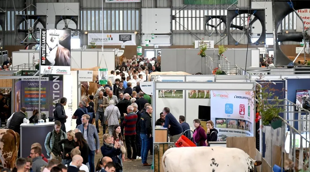 Space, Sommet de l’élevage, Foire de Châlons… La belle revanche des grands rendez-vous