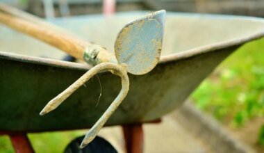 Il se dit oppressé par sa voisine qui passerait trop de temps au jardin : « C’est ridicule »