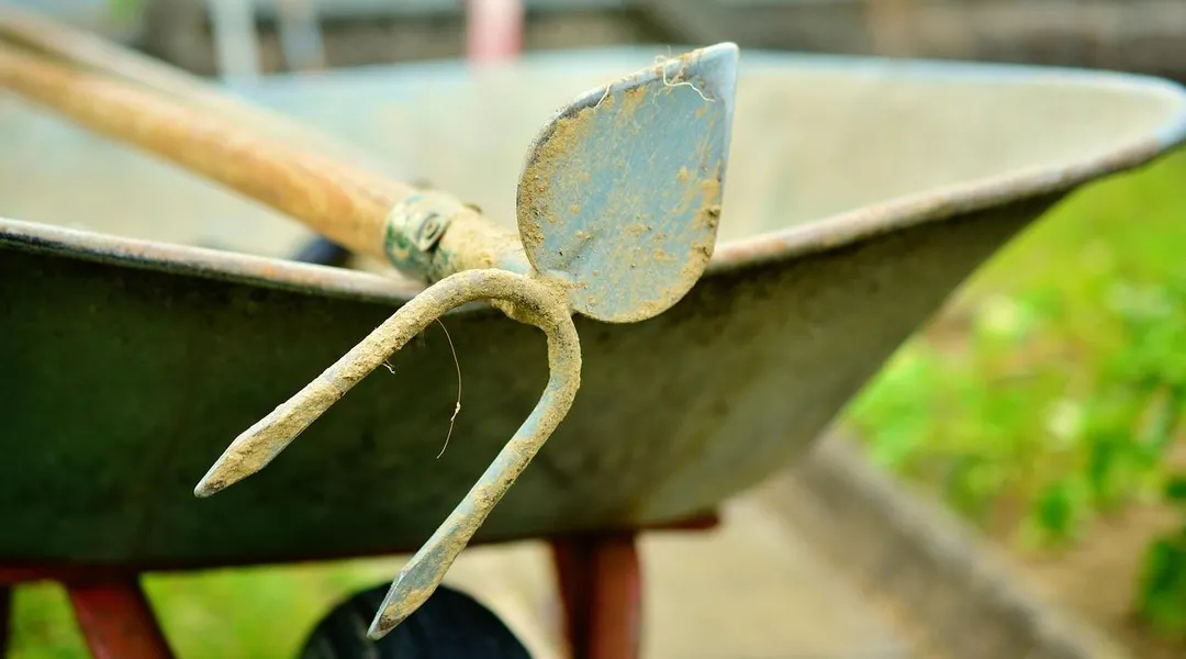 Il se dit oppressé par sa voisine qui passerait trop de temps au jardin : « C’est ridicule »
