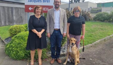 Le chien Texas fait sa rentrée au collège, à Noyal-sur-Vilaine