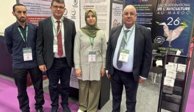 Space 2025. À Rennes, le Maroc se pose en carrefour de l’élevage de volailles en Afrique