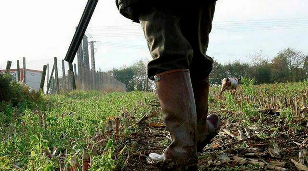 En Ille-et-Vilaine, « les chasseurs doivent adapter leurs comportements, ça passe par la