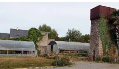 Orvault. Les secrets du patrimoine végétal orvaltais