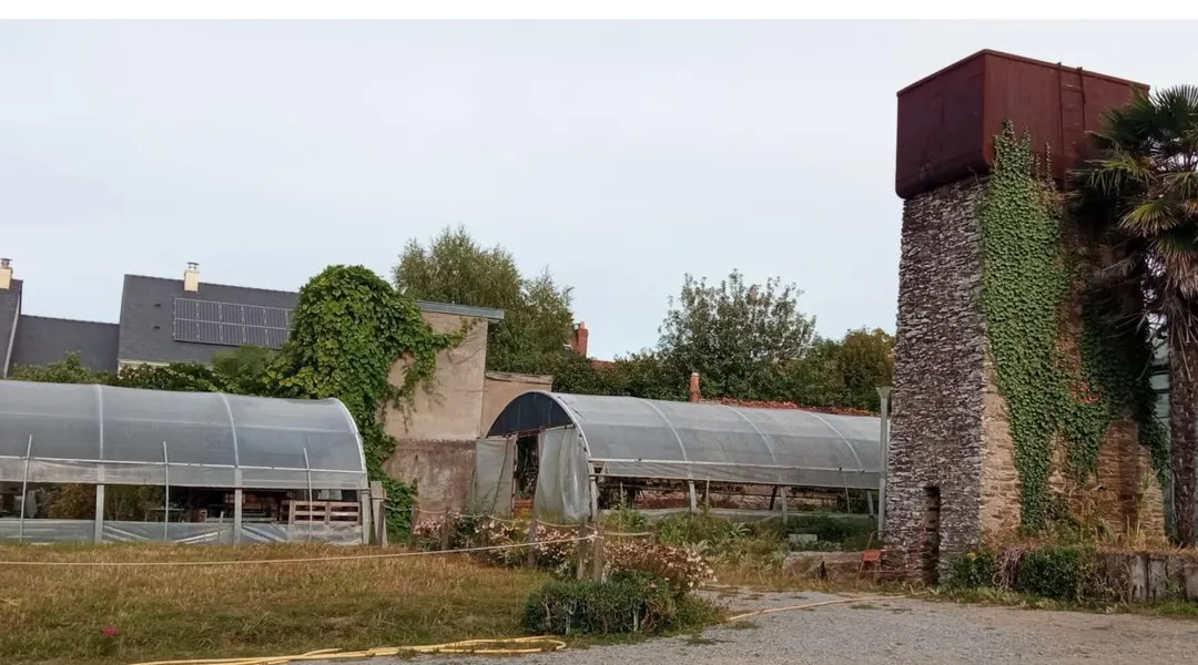 Orvault. Les secrets du patrimoine végétal orvaltais
