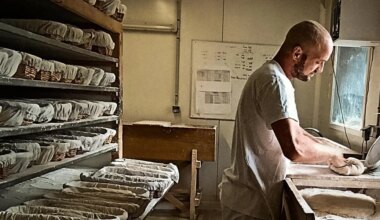 « Une journée festive pour découvrir nos métiers » : un dimanche à la ferme près de Rennes