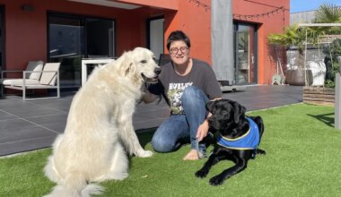 À Rennes, Myriam est famille d’accueil pour les futurs chiens d’assistance