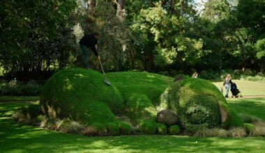 Le réalisateur nantais Thomas Rault plonge en immersion au Jardin des plantes pendant un an