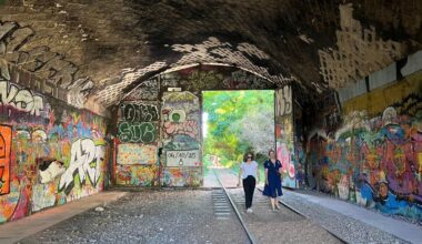 « Il faut en faire un sanctuaire sans public » : à Paris, l’accessibilité grandissante de la Petite Ceinture divise