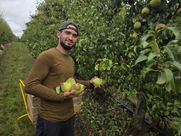Ussy-sur-Marne, jeudi 11 septembre. "Il faut aller chercher la main d'œuvre de plus en plus loin", souligne Christophe Oudard dont l'exploitation emploie 45 personnes.