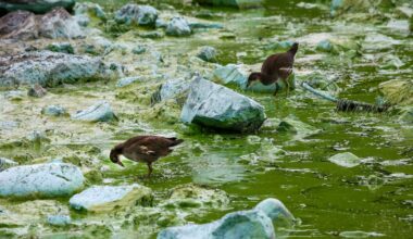 l’alerte de l’Agence européenne de l’environnement – Libération
