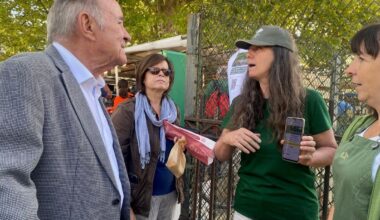 « Ça n’a pas de sens » : à Bois-Colombes, la mobilisation s’amplifie contre le sacrifice d’arbres pour le supermétro