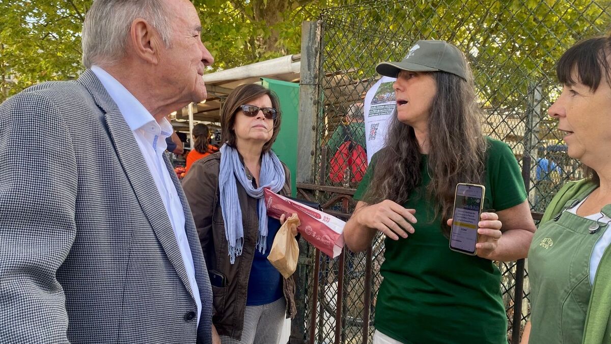 « Ça n’a pas de sens » : à Bois-Colombes, la mobilisation s’amplifie contre le sacrifice d’arbres pour le supermétro