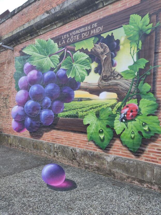 Sur les quais de la Garonne à Toulouse, une anamorphose met en valeur de façon saisissante les vignoble de la Côte du Midi. LP/Paul Perie 
