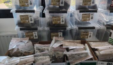 Plus que deux jours pour s’inscrire : à Toulouse, le CNRS Occitanie ouvre ses laboratoires avec des escape games