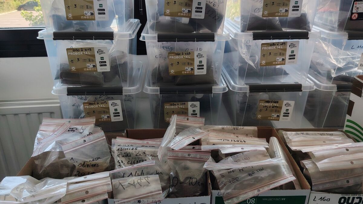 Plus que deux jours pour s’inscrire : à Toulouse, le CNRS Occitanie ouvre ses laboratoires avec des escape games