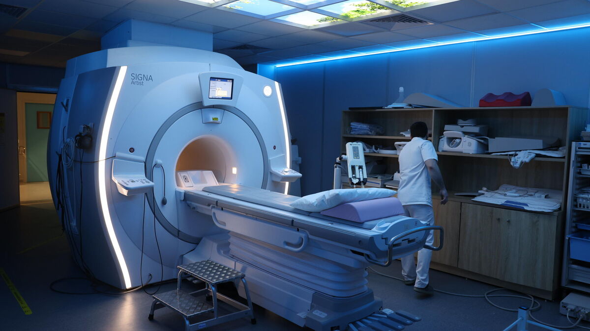 Des cochons prioritaires sur les malades du cancer à Strasbourg ?