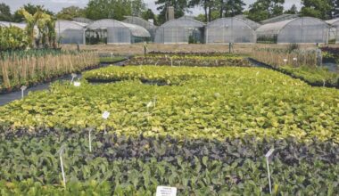 La Ville de Nantes veut maîtriser sa production végétale