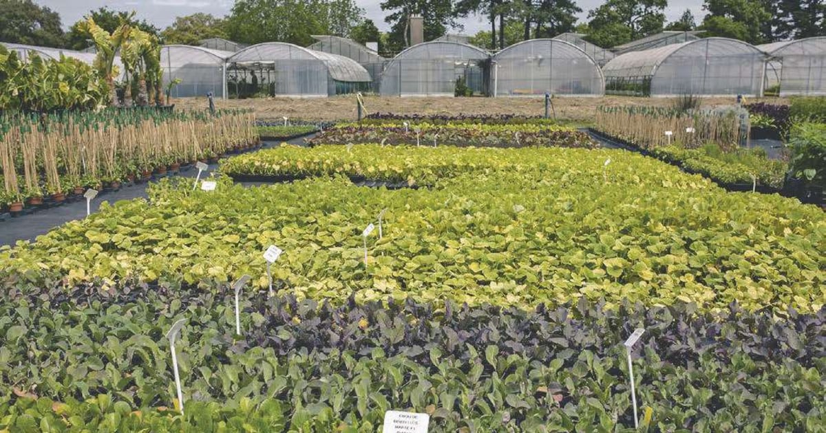 La Ville de Nantes veut maîtriser sa production végétale