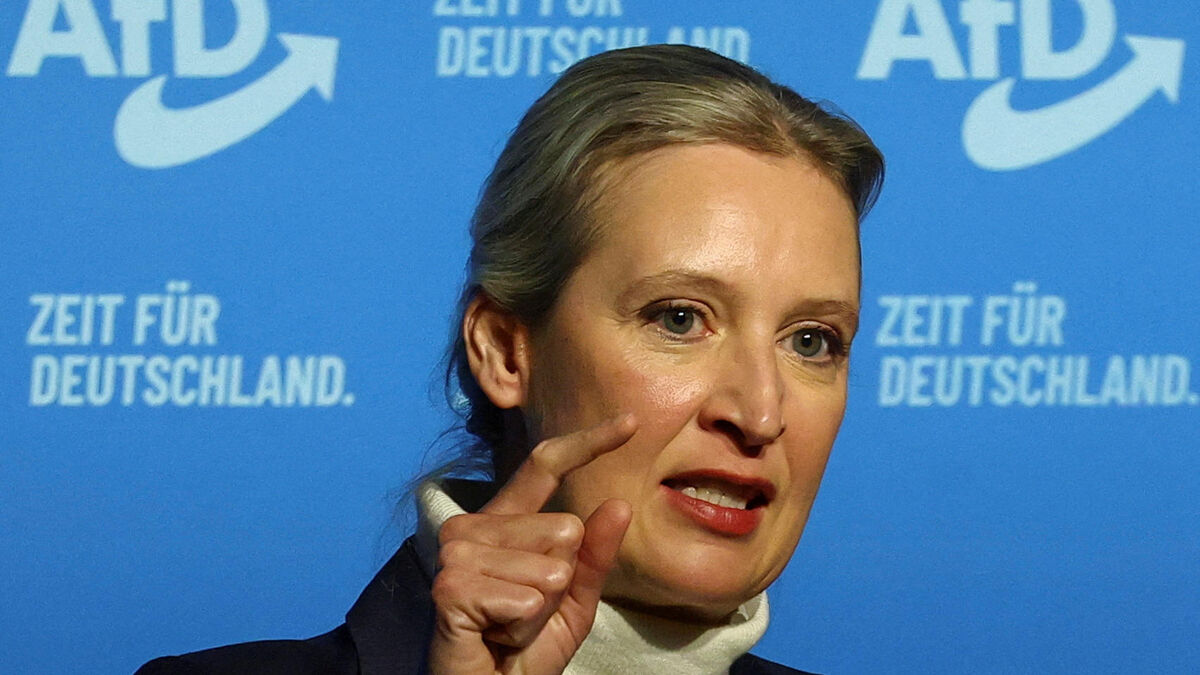 « Nous allons examiner tous ces cas de près » : le décès de six candidats d’extrême droite enflamme l’Allemagne