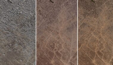 De nouvelles images satellite révèlent la destruction en cours de la ville de Gaza et l’avancée des troupes israéliennes – Libération