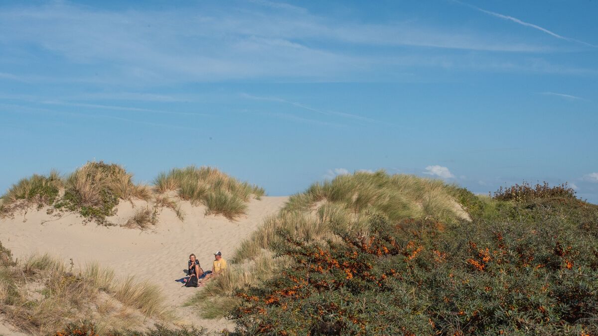 Les Dunes de Flandre deviennent Grand Site de France :« La plus belle labellisation qu’on puisse obtenir »