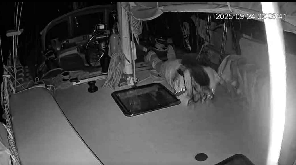 « Toutes attaques contre cette mission sont des crimes de guerre » : la Global Sumud Flotilla, en route vers Gaza, ciblée par des engins explosifs