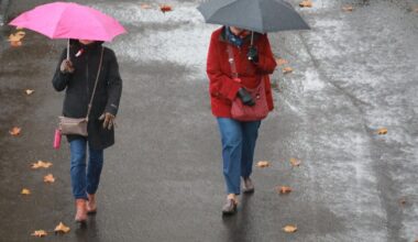 De l’été à l’automne en quelques heures seulement : la météo de ce week-end en France