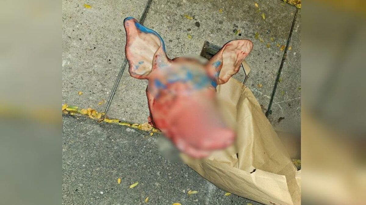 Les têtes de cochon retrouvées devant des mosquées ont été déposées par des étrangers ayant « aussitôt quitté le territoire »