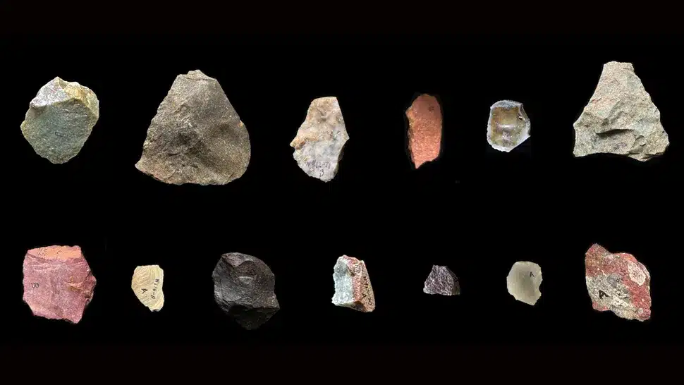 Paranthropus outils ancêtres