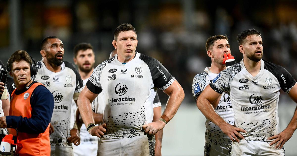 Vannes doit lancer sa saison, Grenoble et Colomiers pour confirmer
