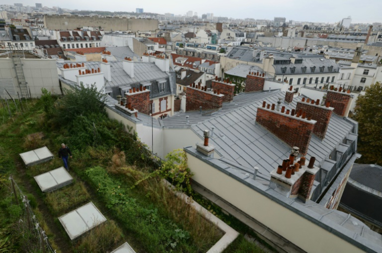 Un potager sur le toit de l'Opéra Bastille géré par la société agricole Topager, le 25 septembre 202 à Paris ( AFP / Thomas SAMSON )