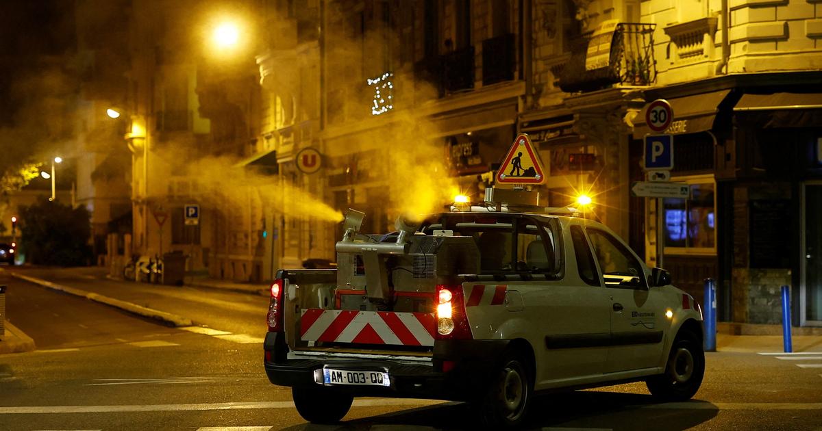 Antibes confrontée à une flambée des cas de chikungunya