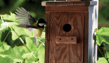 la mairie met fin à l’entretien des abris pour oiseaux dans les parcs publics