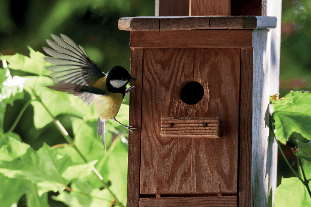 la mairie met fin à l’entretien des abris pour oiseaux dans les parcs publics