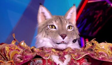 “Mask Singer” 2025 : Quelle célébrité se cachait sous "Le Lynx” et a été révélée ce vendredi soir sur TF1 ?