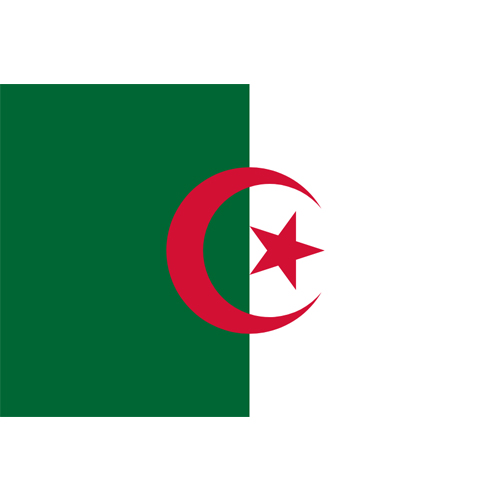 Algérie-flag-basketball.jpg
