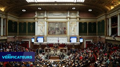 L'Assemblée nationale peut-elle démissionner collectivement pour sortir de la crise, comme le propose un député ? 